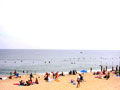 Beach Front Living